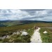 Wicklow Way | Cicerone Guide